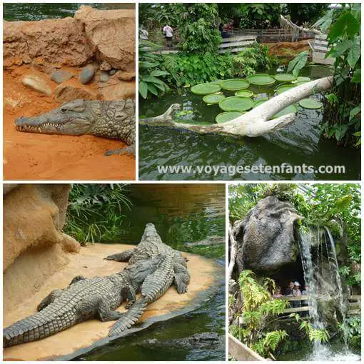 Visite De La Ferme Aux Crocodiles En Famille Blog Voyages