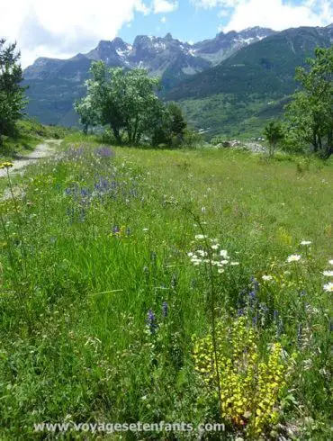 Balade à flan de montagne dans les Hautes Alpes pour les enfants