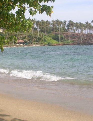 Une île en Asie: le Sri Lanka en famille