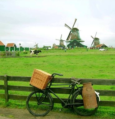 Visiter les moulins de Hollande avec enfants