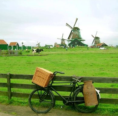 Visiter les moulins de Hollande avec enfants