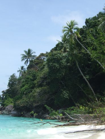 La Malaisie avec bébé TiCoeur de Maman Voyage