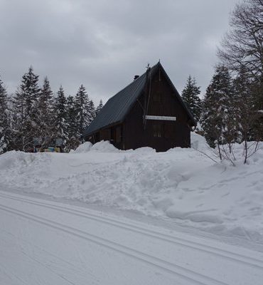 Le Vercors: le Bois Barbu et ses sorcières....