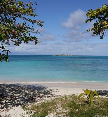 Bébé en Guadeloupe