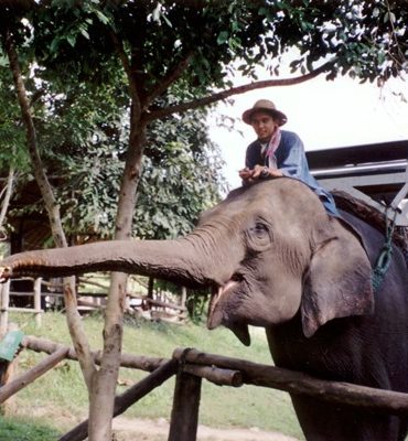 7 bonnes raisons pour partir en Thaïlande avec des enfants