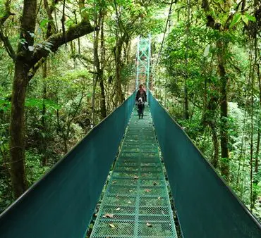 Voyage Costa Rica en famille pont se singe avec enfant