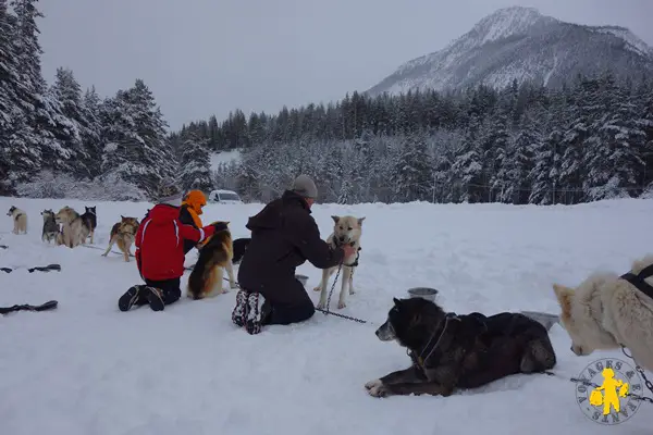 Activite Hiver Chiens De Traineau Avec Des Enfants Hautes Alpes Blog Voyages Et Enfants