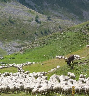 Hautes Alpes en famille: le Briançonnais avec Timéo et Matty (7 et 5 ans)