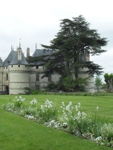 Les célèbres châteaux de la Loire avec 2 enfants