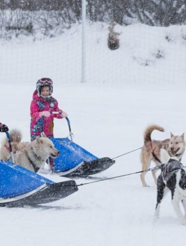 Activités originales et familiales à Pelvoux - Hautes Alpes: baby traîneau et igloo pelvoo