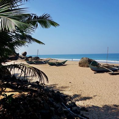 Les plages du Sri Lanka: lieu préféré des enfants