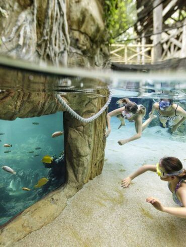 Center Parcs: une escapade nature pour les tribus