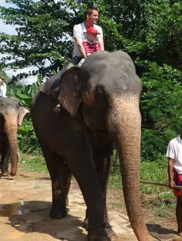 Voir des animaux au Sri Lanka