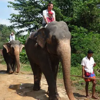 Voir des animaux au Sri Lanka