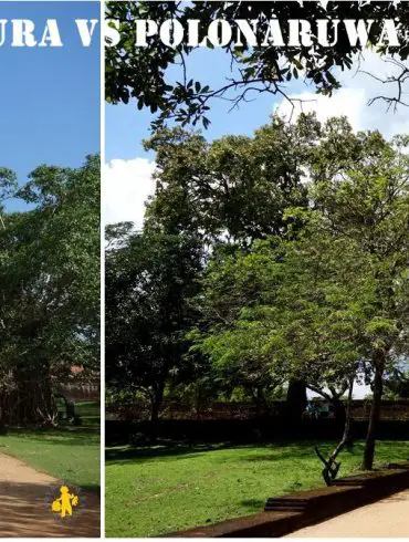 Anuradhapura ou Polonnaruwa avec des enfants?