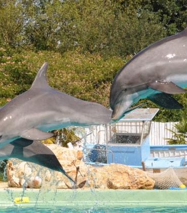 Devenir Ambassadeurs... 1ère escapade: Planète Sauvage