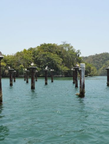 2 semaines à Las Terrenas, République Dominicaine