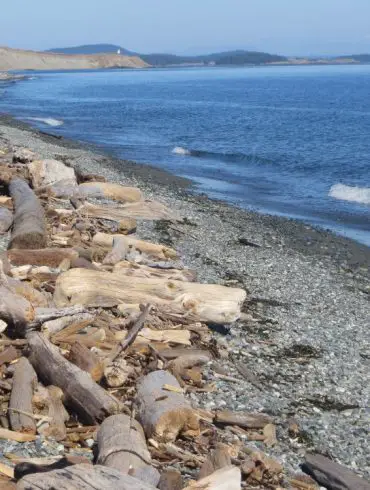 Les USA nature sur le nord de côte pacifique