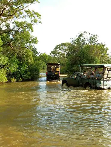 Top 5 des safaris en famille