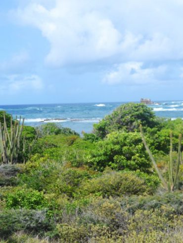 Martinique en mai, avec bébé