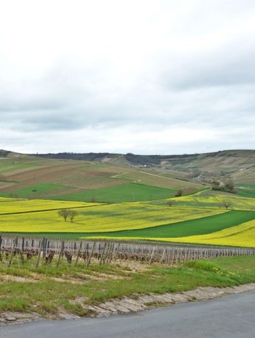 Un week-end dans les côteaux du Sancerre