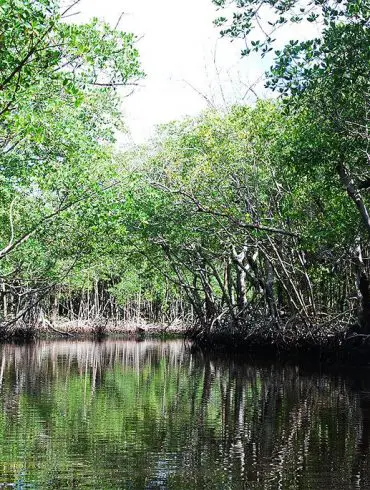 Everglades en famille