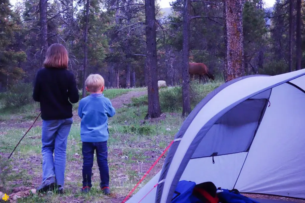 Parc National de Jasper randonnées et autres activités