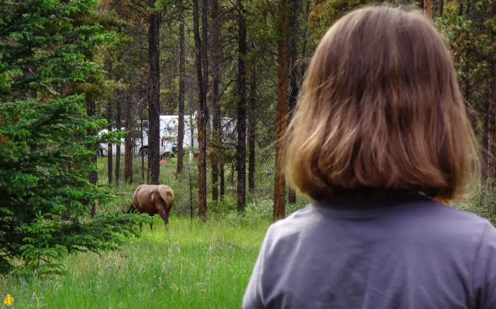 Parc National de Jasper randonnées et autres activités