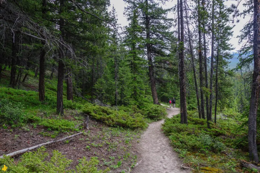 Parc National de Jasper randonnées et autres activités