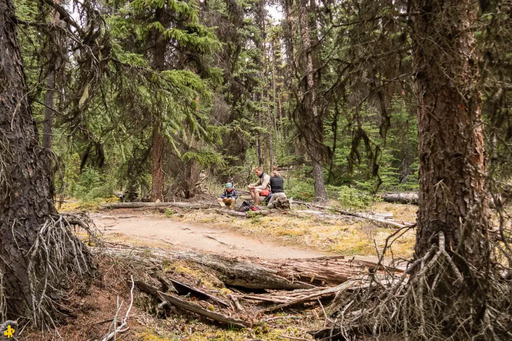 Parc National de Jasper randonnées et autres activités