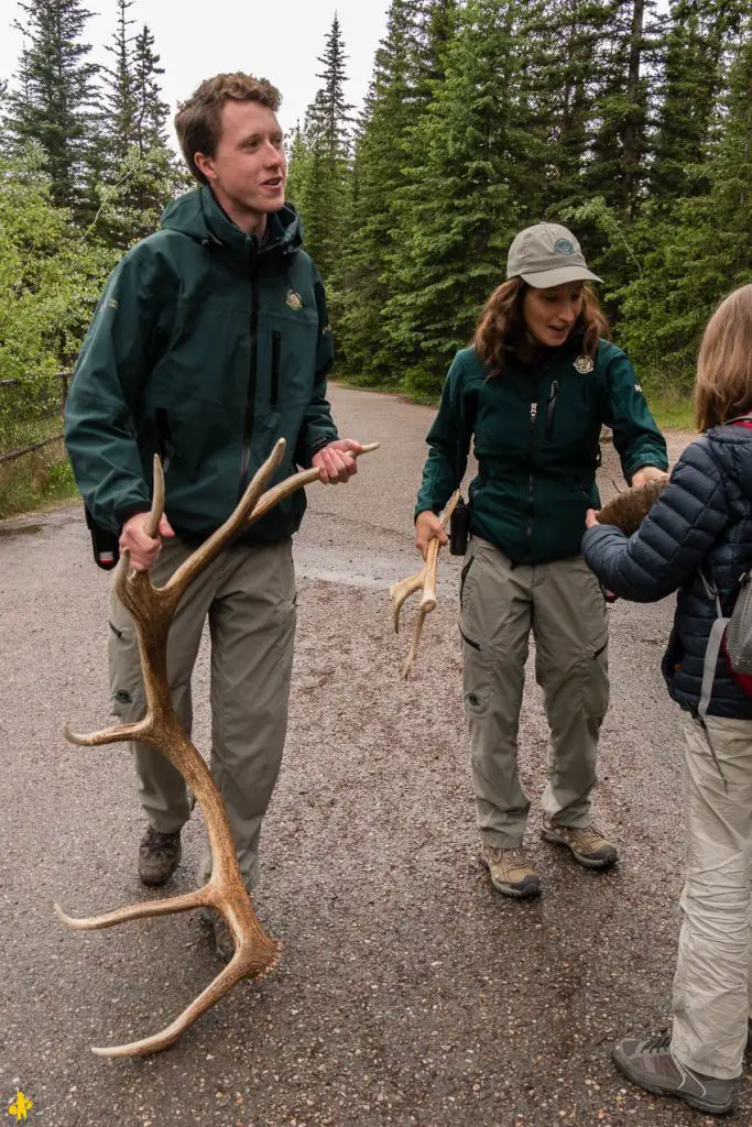 Parc National de Jasper randonnées et autres activités