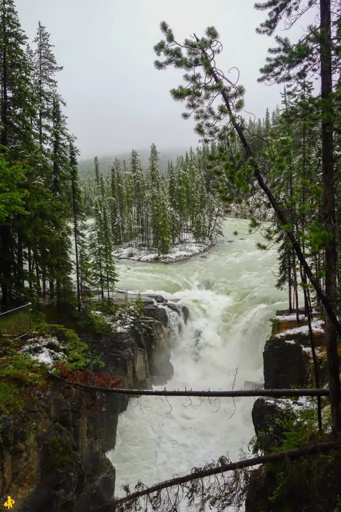 Parc National de Jasper randonnées et autres activités