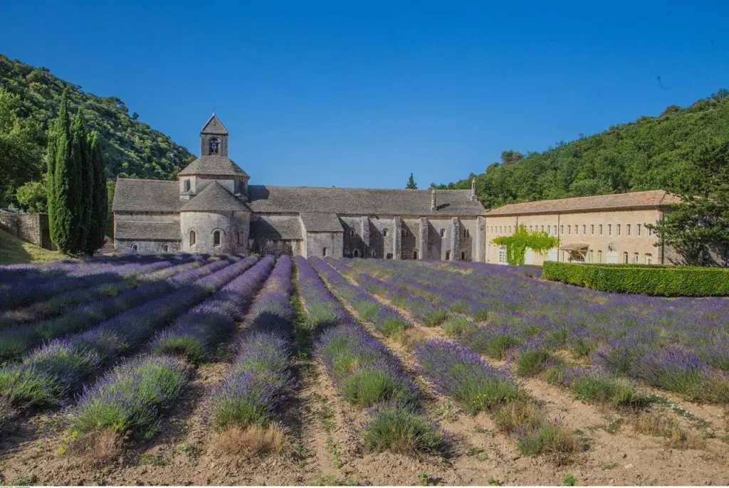 La Provence Avec Des Enfants Activites Originales Pour Les Familles Blog Voyages Et Enfants