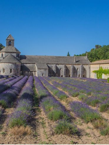 Provence originale avec des enfants