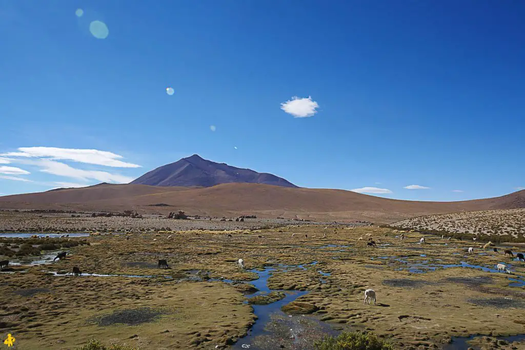 Tour du Sud Lipez en autonomie en 4x4