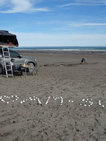 Que voir sur la Ruta 1 en Argentine?