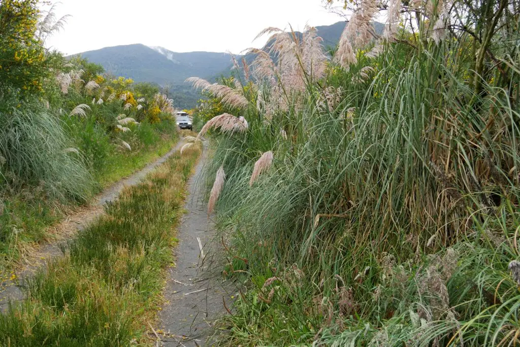 Carretera Austral en 4x4 