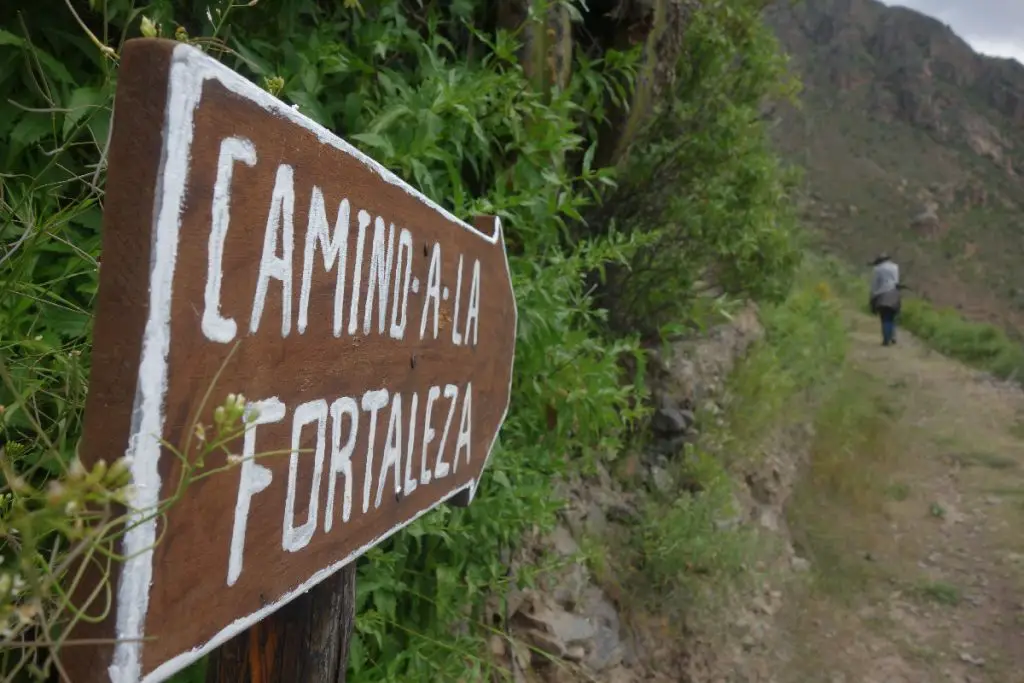 Canyon de Colca Visite et activités en famille ou pas