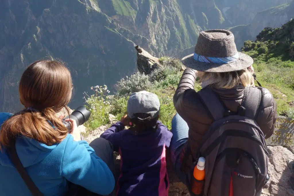 Canyon de Colca Visite et activités en famille ou pas