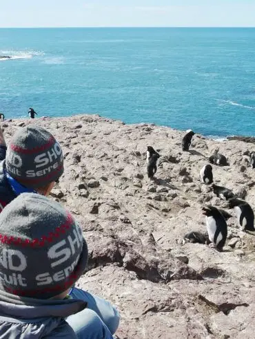 Où voir des animaux en Argentine ?