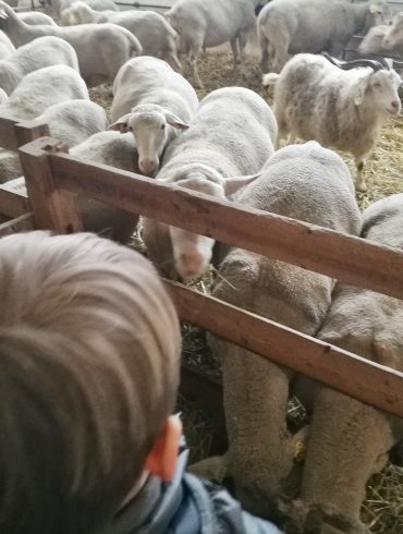 Au fil de la laine autour de Briançon