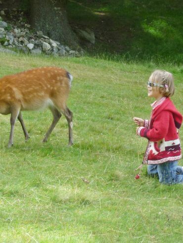 Vallée de Chamonix: le parc animalier de Merlet