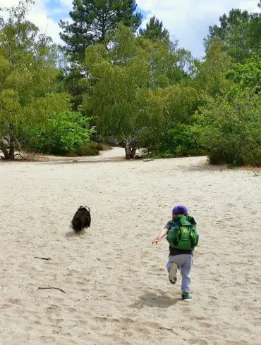 Fontainebleau en famille: château et forêt