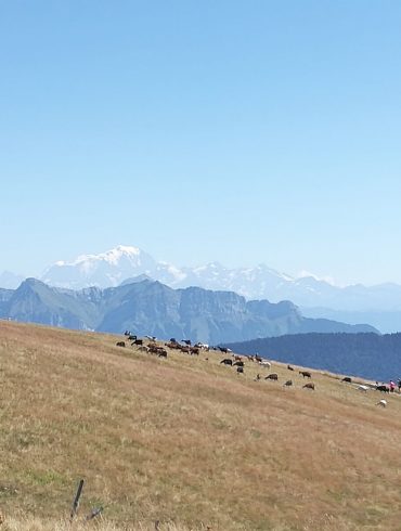 Plateau de Semnoz vue bauges week-end en famille