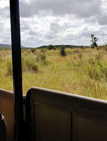 Safari en famille dans le parc Kruger