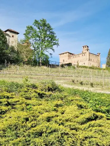 Visiter les Langhe