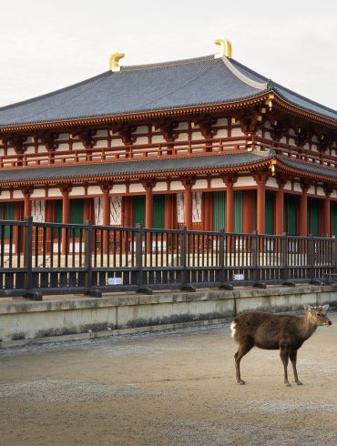 Visite de Nara en famille