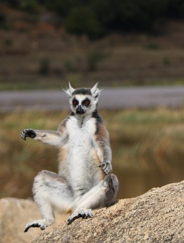 Que voir à Madagascar en famille ?