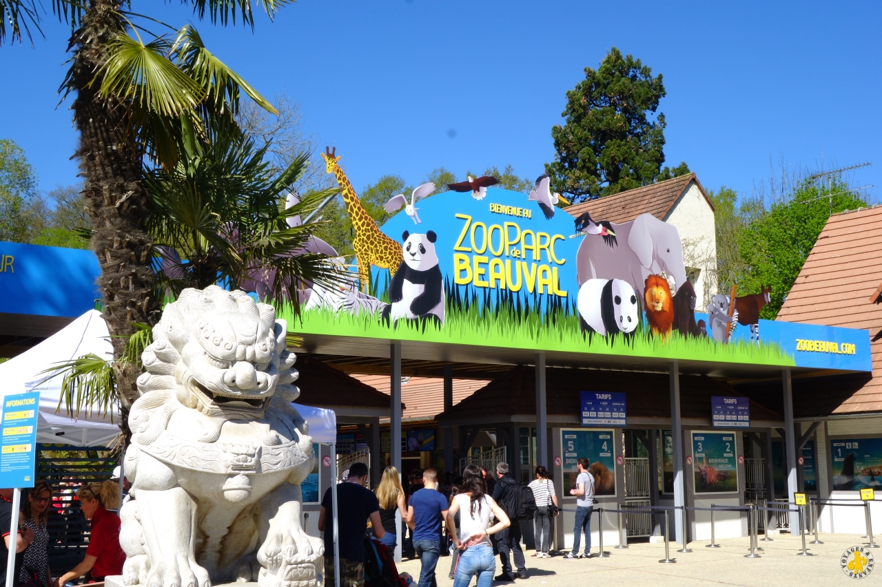 Visiter Beauval En Famille : Avis, Conseils, Tarifs, Billets