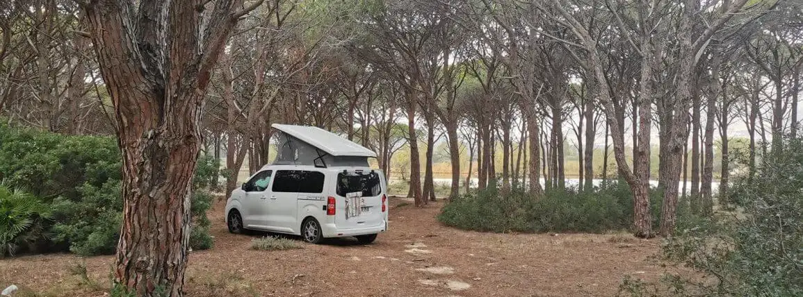 Camping-car Van en famille conseil